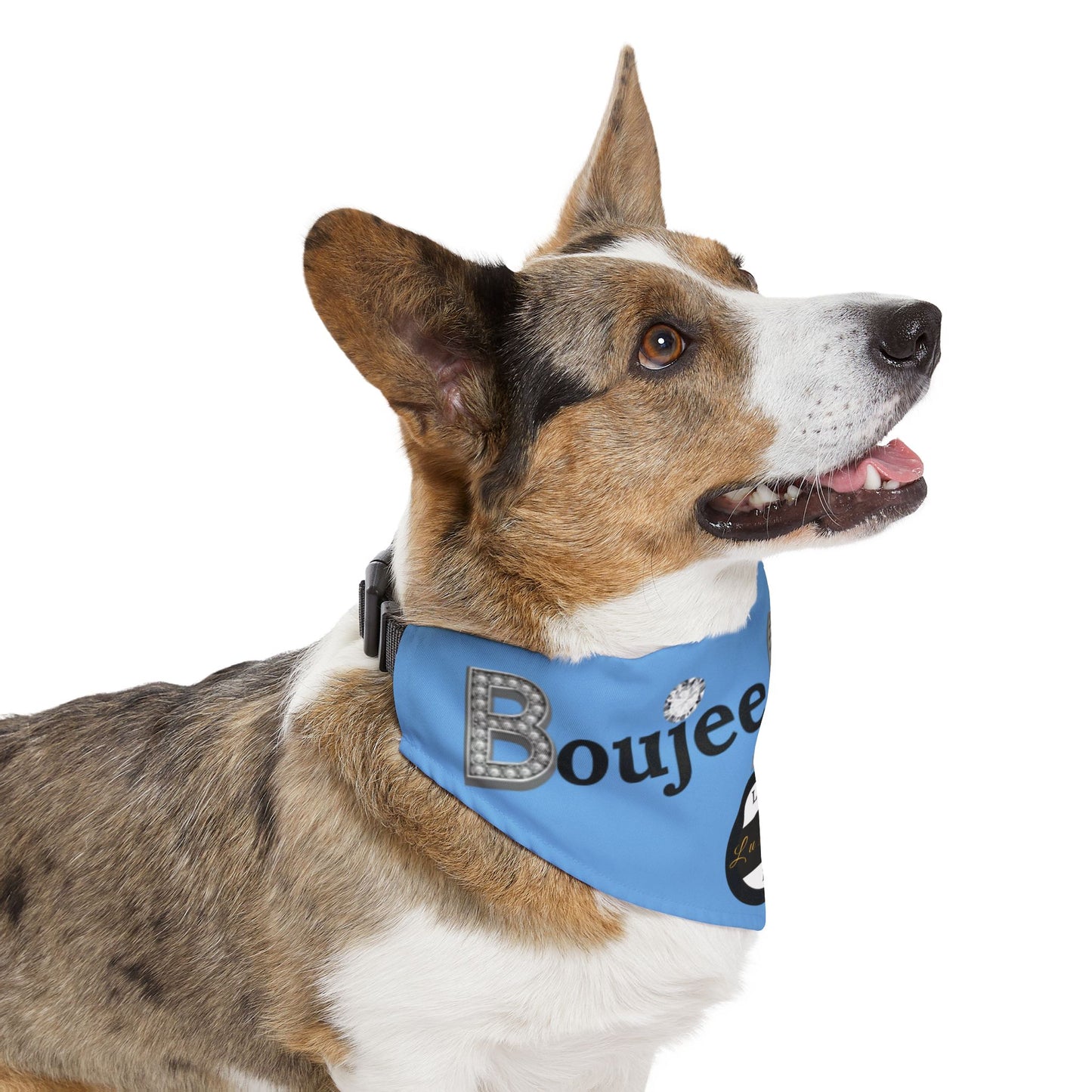 Boujee Barker Bandana BLUE - Pet Collar EXTRA LARGE