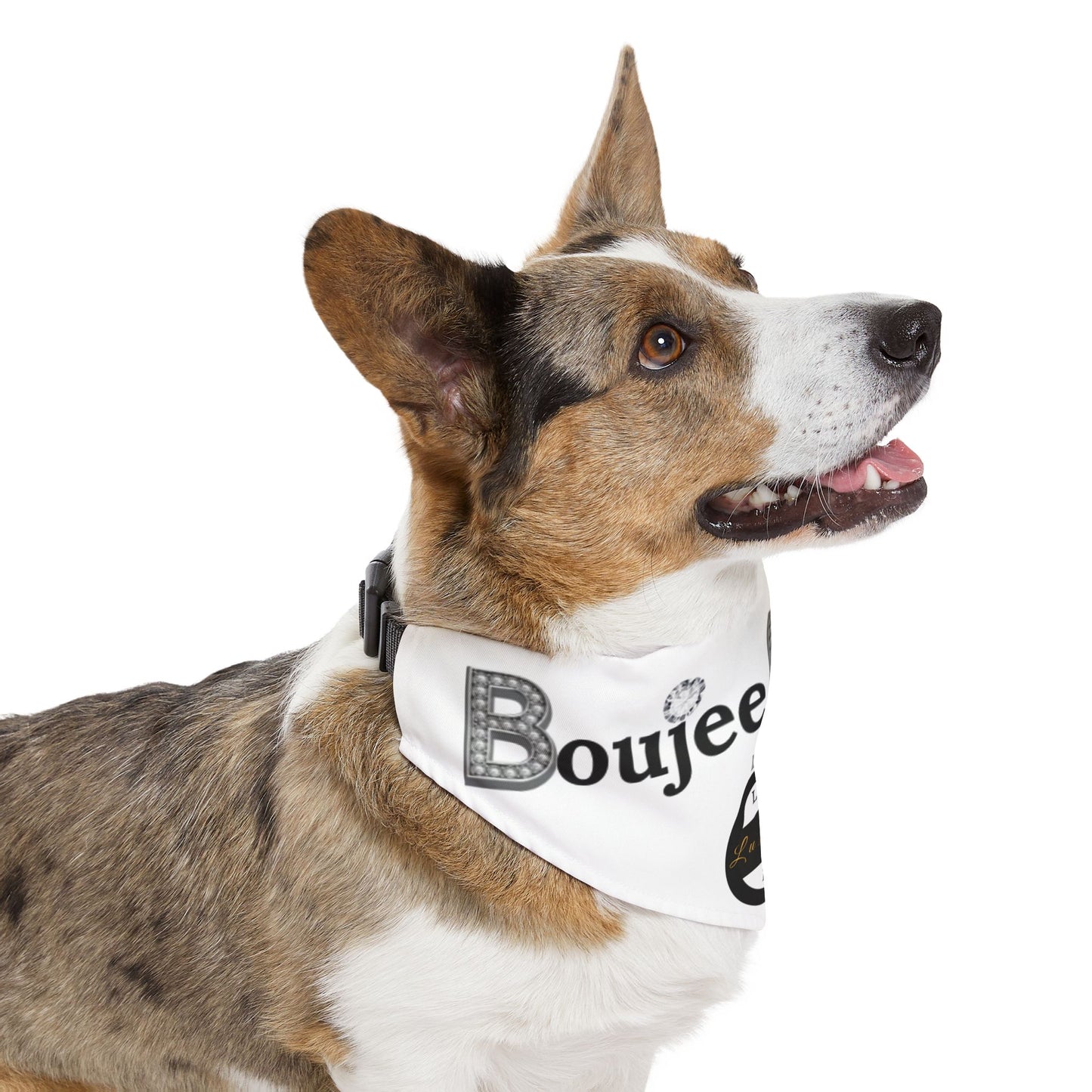 Boujee Barker Bandana WHITE - Pet Collar EXTRA LARGE