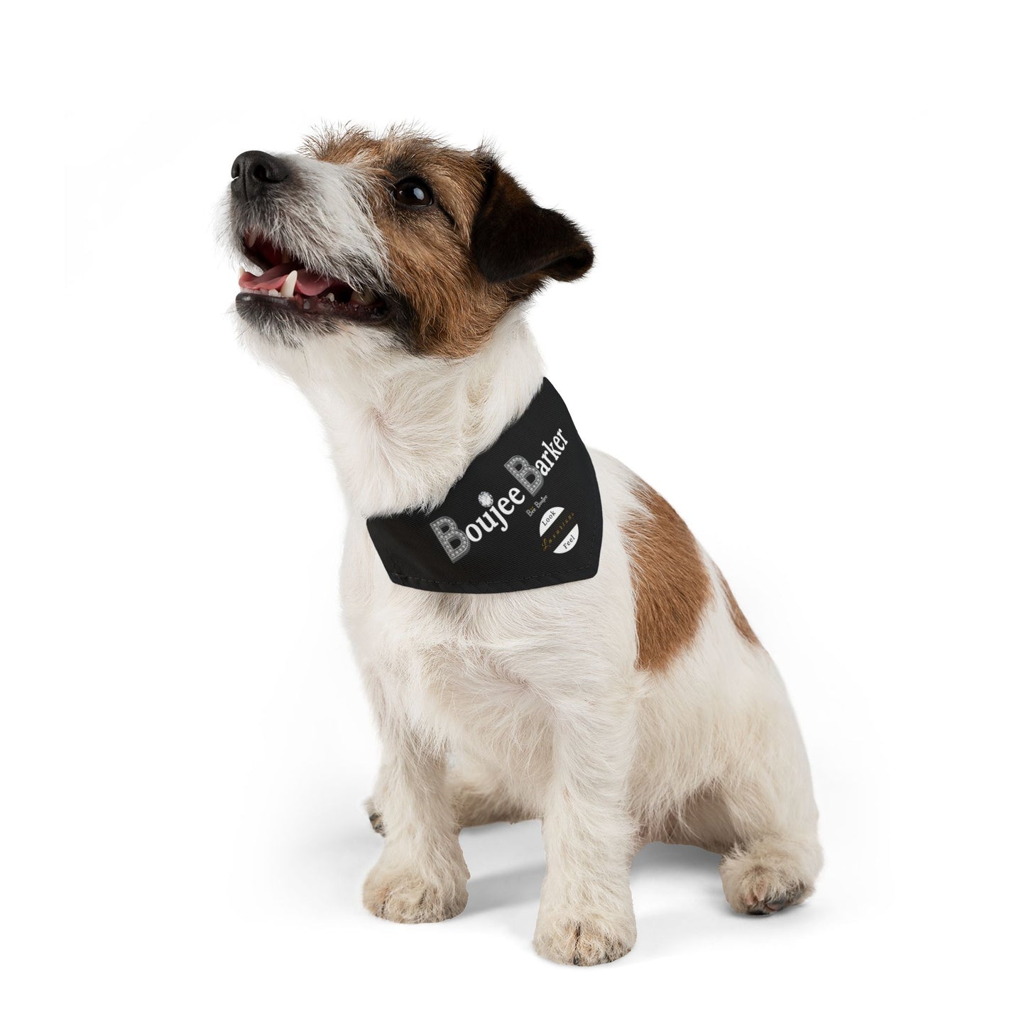 Boujee Barker Bandana BLACK - Pet Bandana SMALL