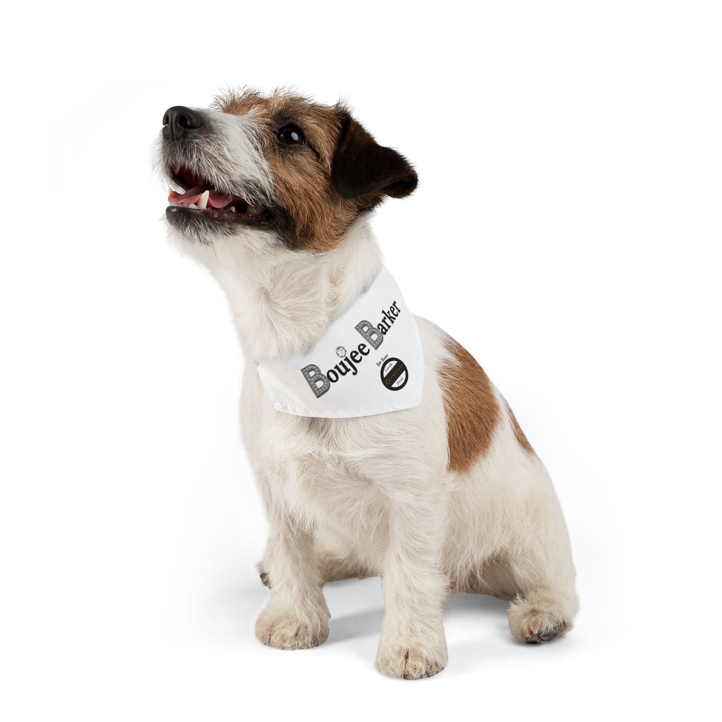 Boujee Barker Bandana WHITE - Pet Collar SMALL