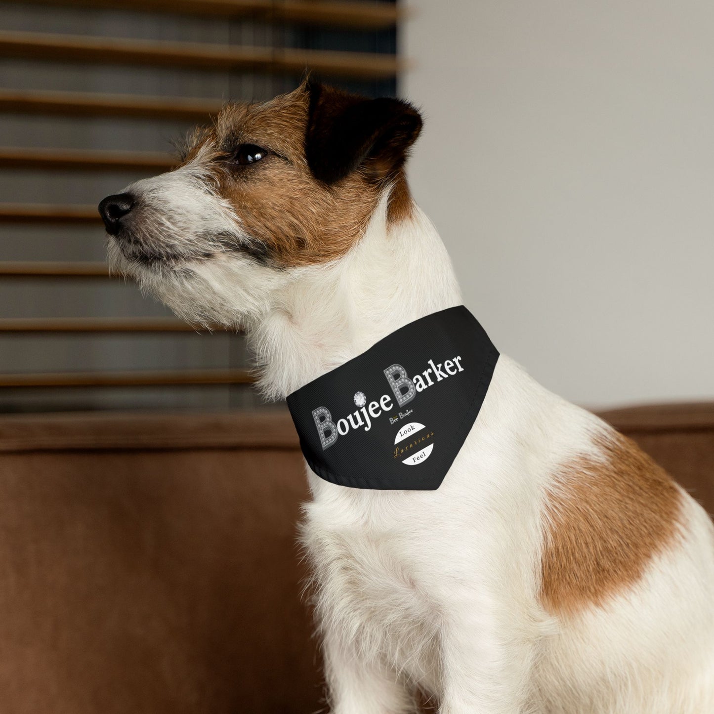 Boujee Barker Bandana BLACK - Pet Bandana SMALL