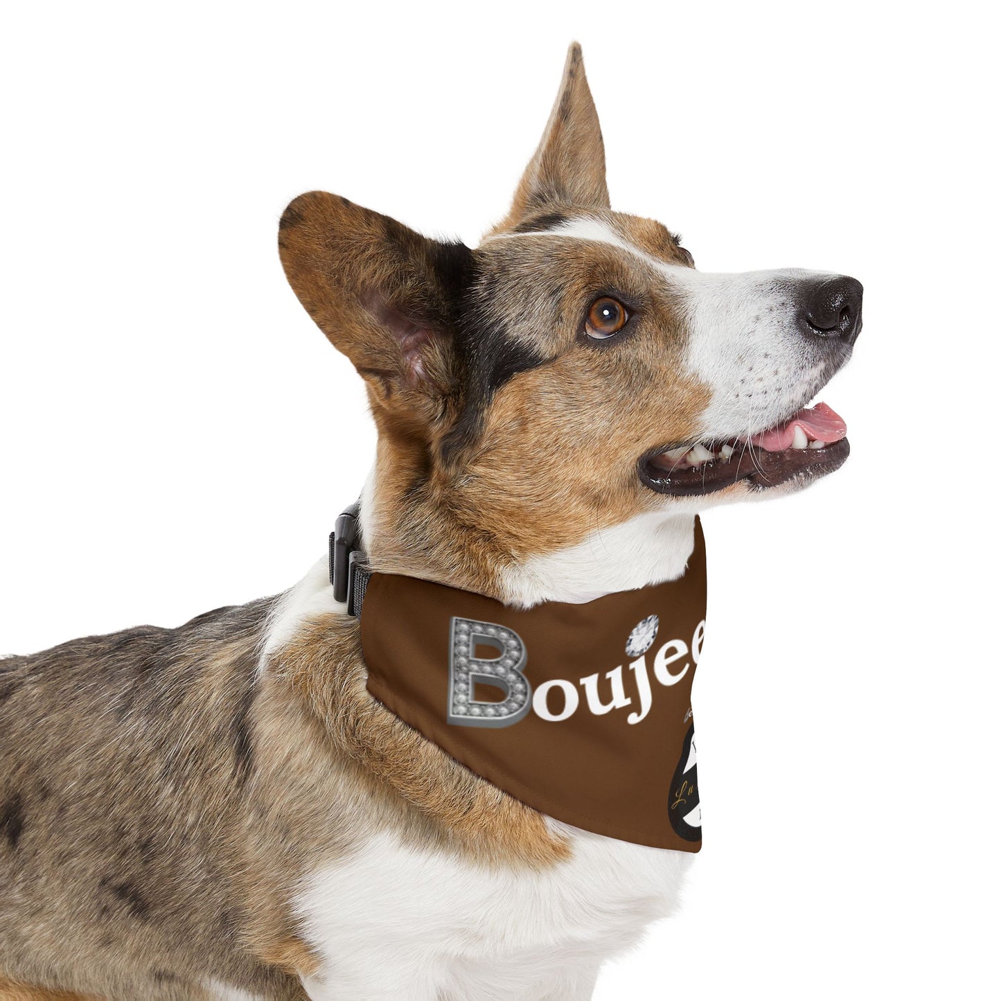 Boujee Barker Bandana BROWN - Pet Collar EXTRA LARGE