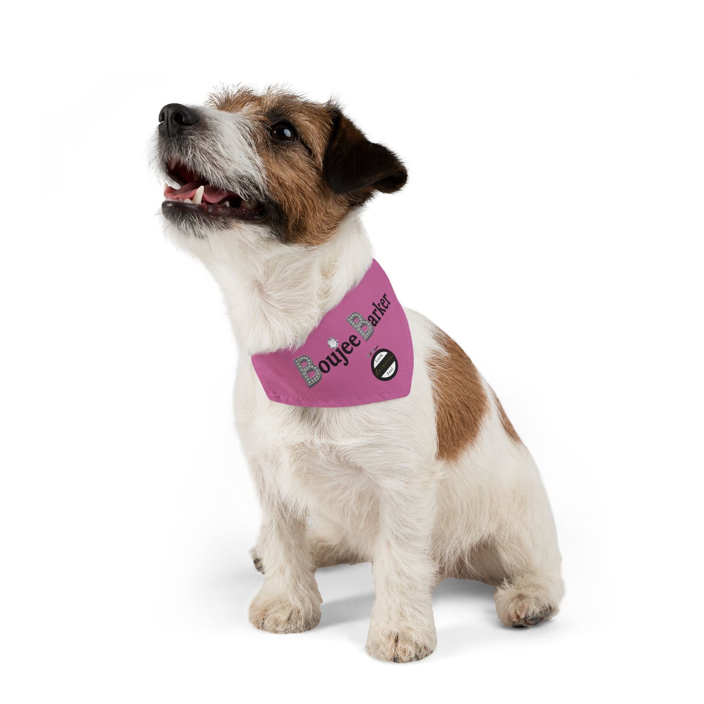 Boujee Barker Bandana PINK - Pet Collar SMALL