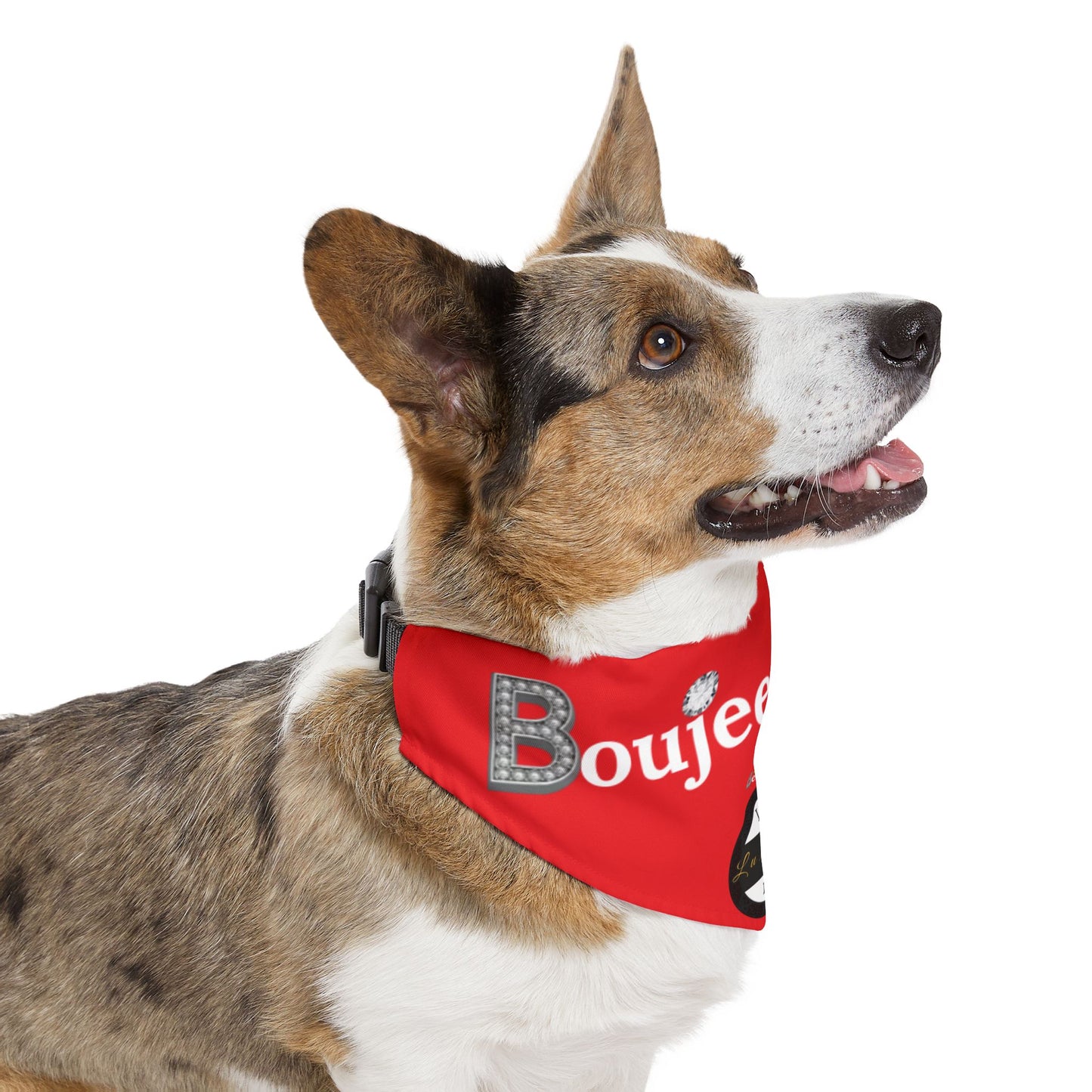 Boujee Barker Bandana RED - Pet Collar EXTRA LARGE