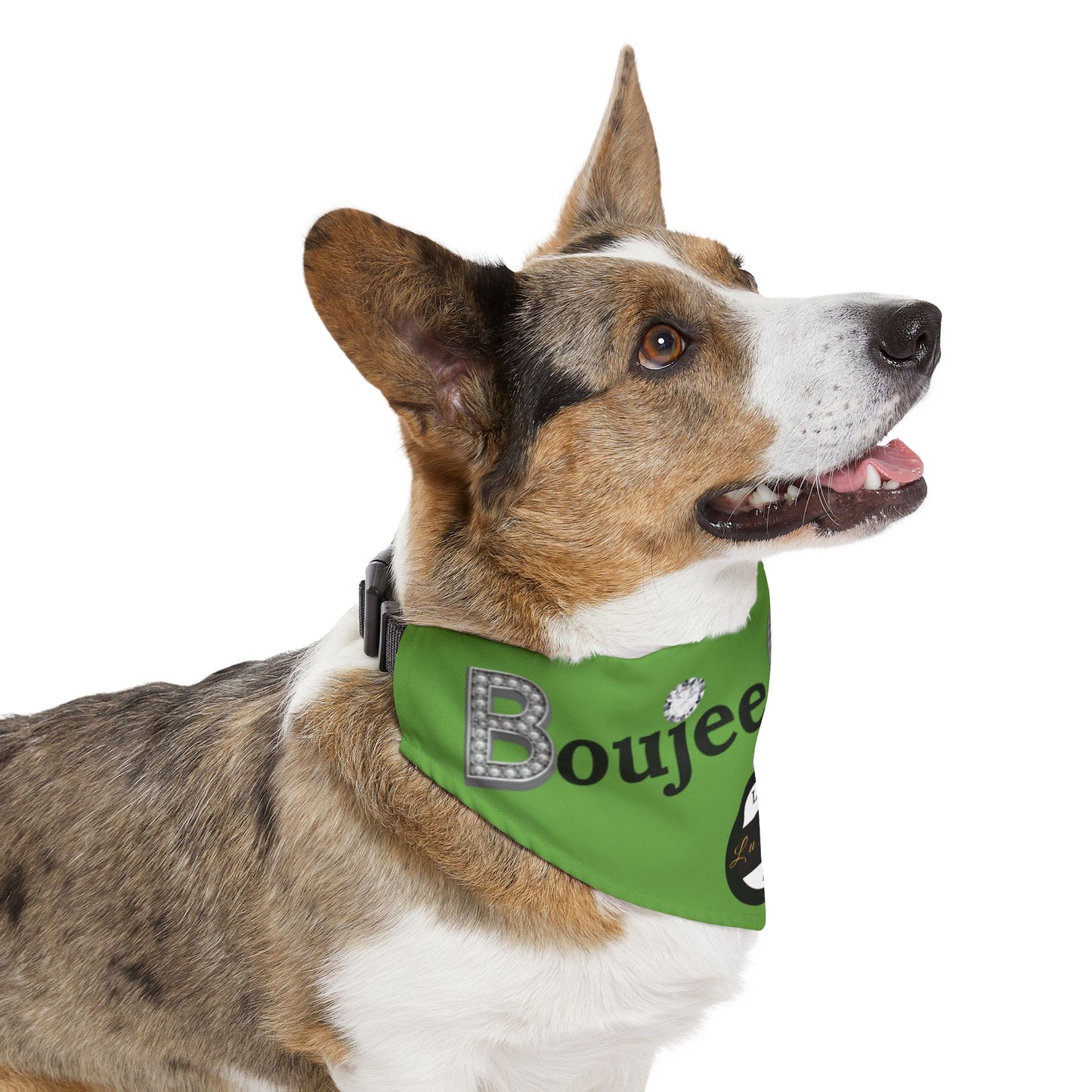 Boujee Barker Bandana GREEN - Pet Collar EXTRA LARGE