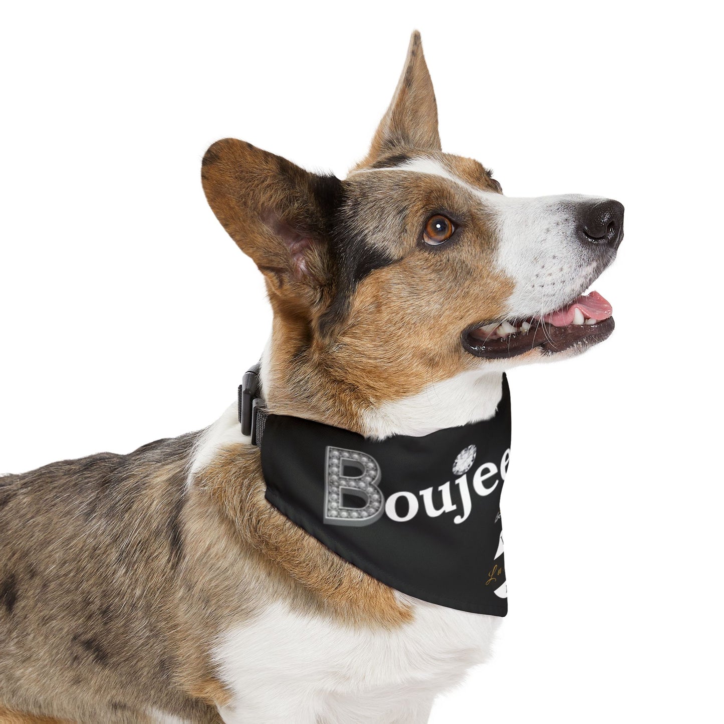 Boujee Barker Bandana BLACK - Pet Collar EXTRA LARGE
